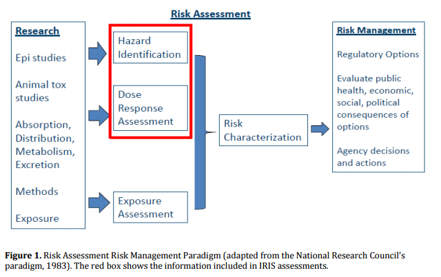 EPA's IRIS Risk Assessment Flow Chart